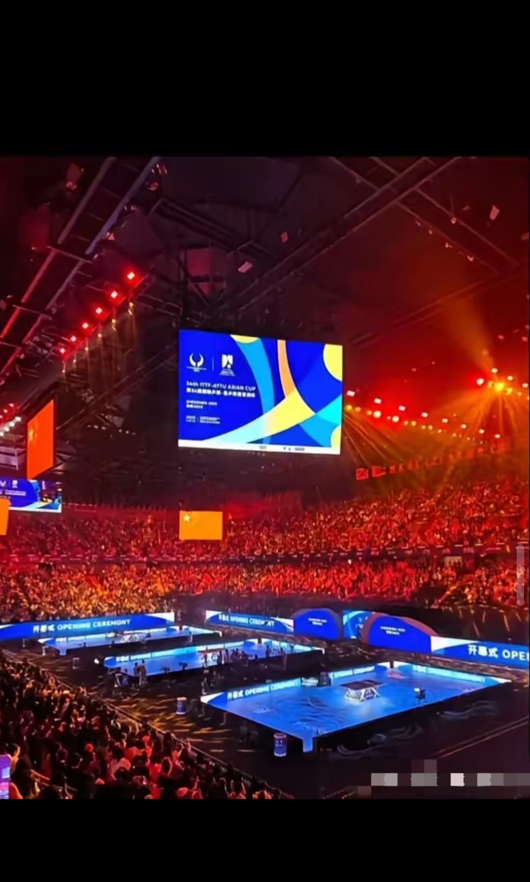 爱游戏官方入口-中国队横扫葡萄牙队，许昕点燃赛场