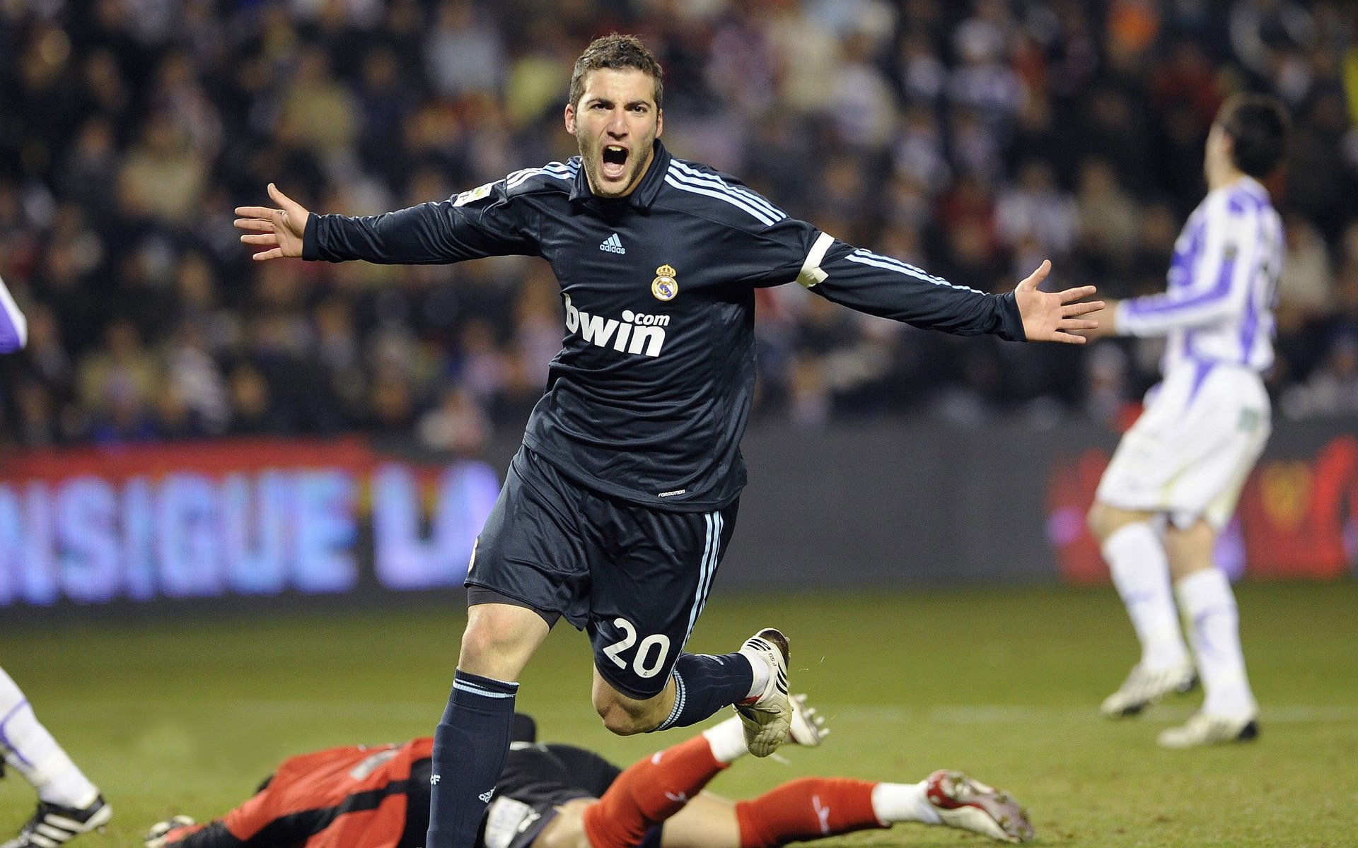 拉亚，从委内瑞拉小镇到世界之巅的数据统治者